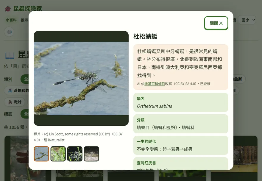 昆蟲介紹視窗：左邊大圖和照片作者，右邊是白話介紹與分類資料