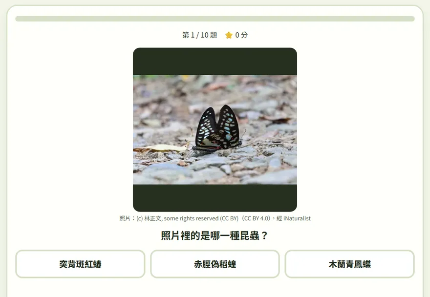 猜猜我是誰：一張昆蟲照片，下面是三個名字選項