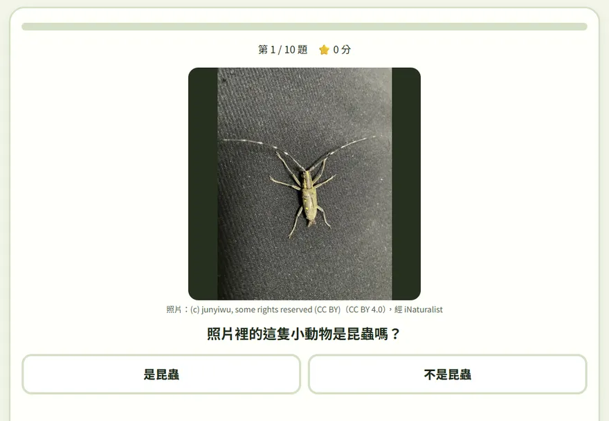 是不是昆蟲：一隻小動物的照片，選是昆蟲還是不是昆蟲