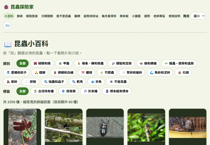 昆蟲小百科畫面：上方是類別和標籤按鈕，下方是昆蟲卡片
