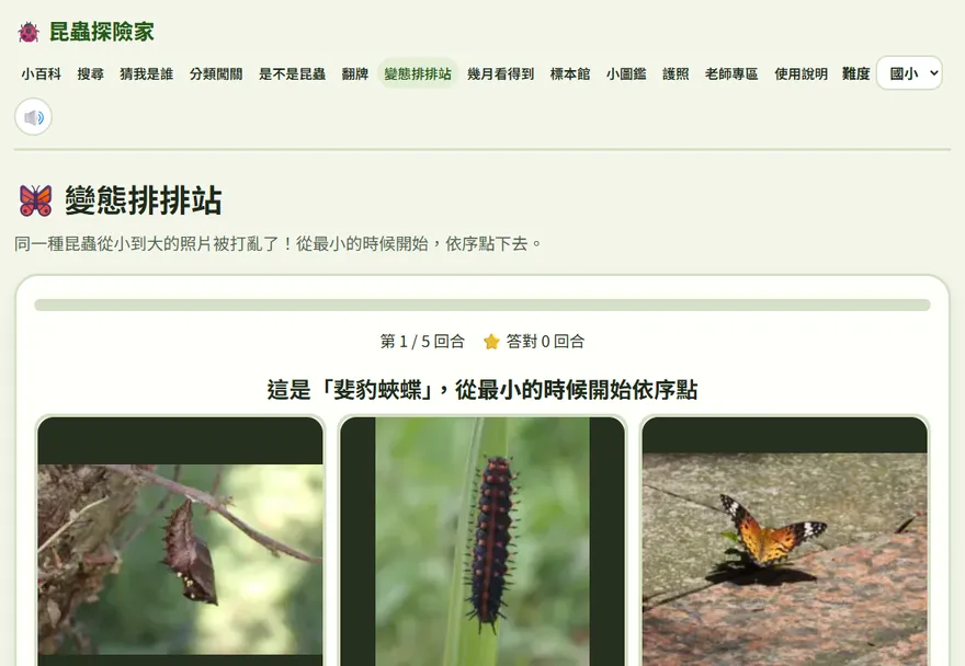 變態排排站：同一種昆蟲不同成長階段的照片，依序點下去